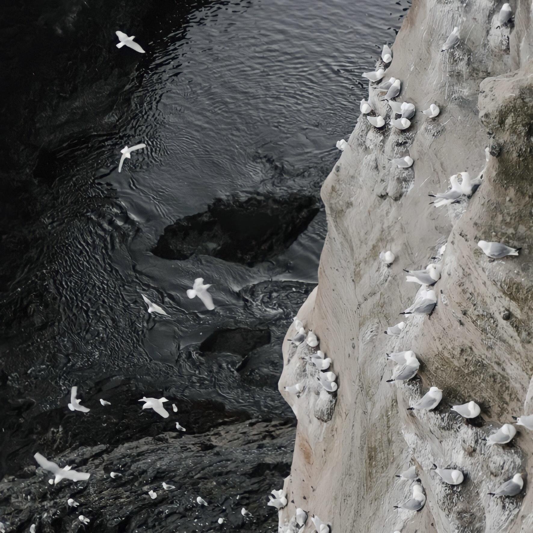 Shores (feat. Moonessa) 0.8 Remix