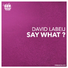 David Labeij - My Neighbor Daniel