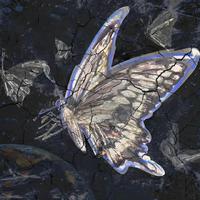 极具宿命感的韩语｜我爱你直到时间尽头