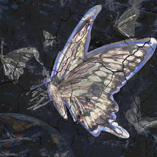 极具宿命感的韩语｜我爱你直到时间尽头