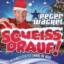 Scheiss drauf! (...Weihnachten ist einmal im Jahr)专辑