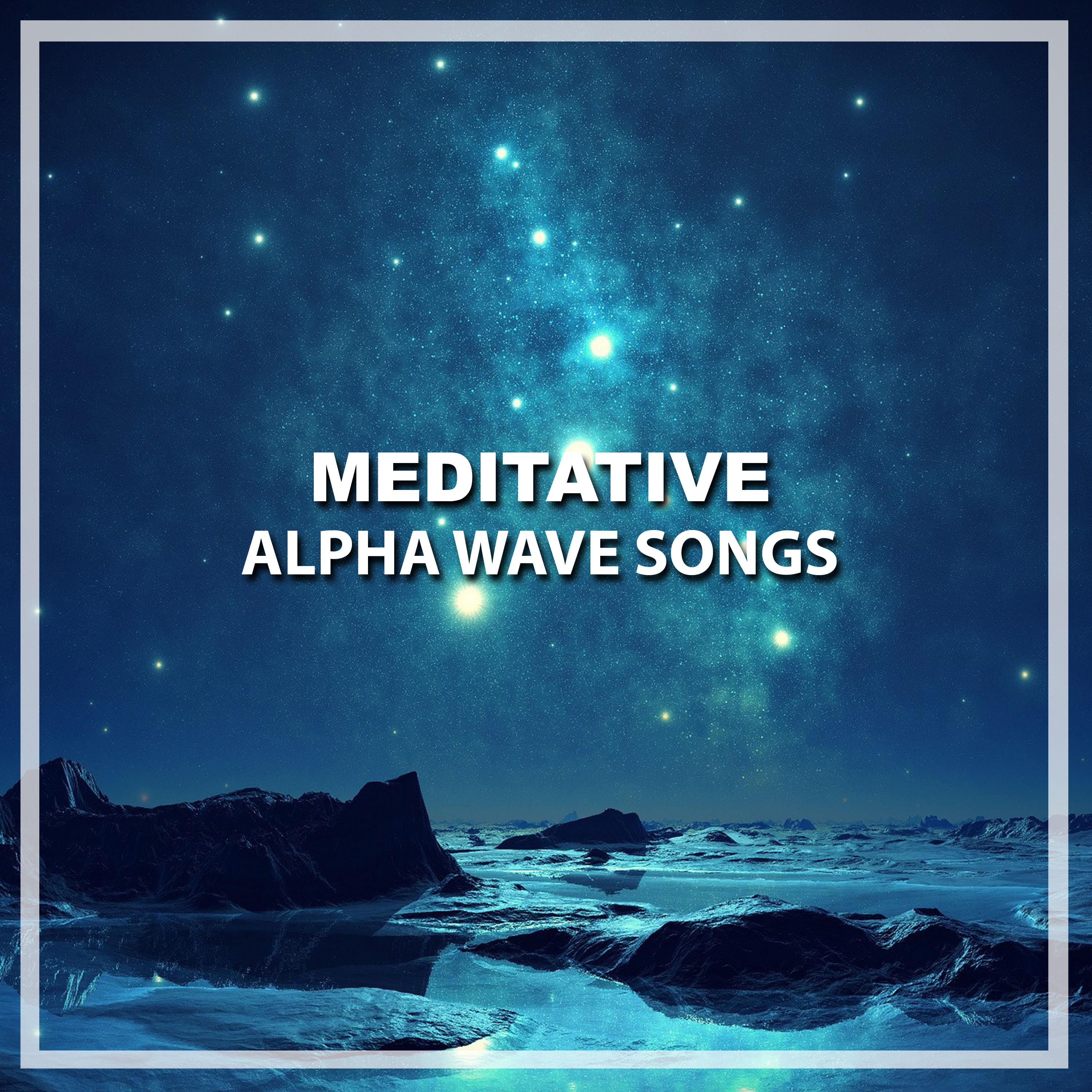 #19 Meditative Alpha Wave Songs专辑