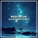 #19 Meditative Alpha Wave Songs专辑