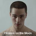 Flowers on the Moon专辑