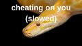 cheating on you (slowed) (slowed)专辑
