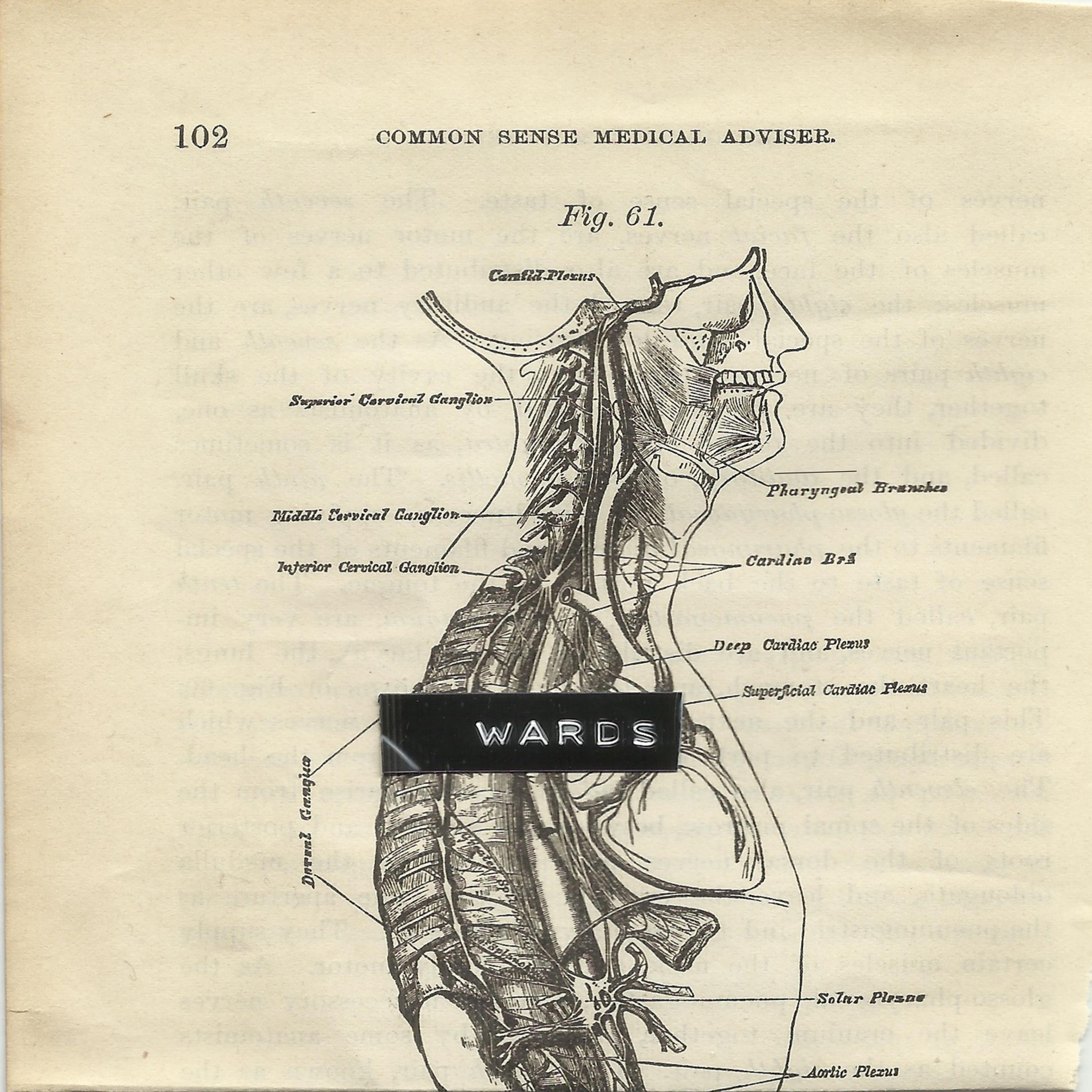 Wards