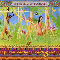 原版伴奏   Ida Y Vuelta - Strunz & Farah (instrumental) [无和声]