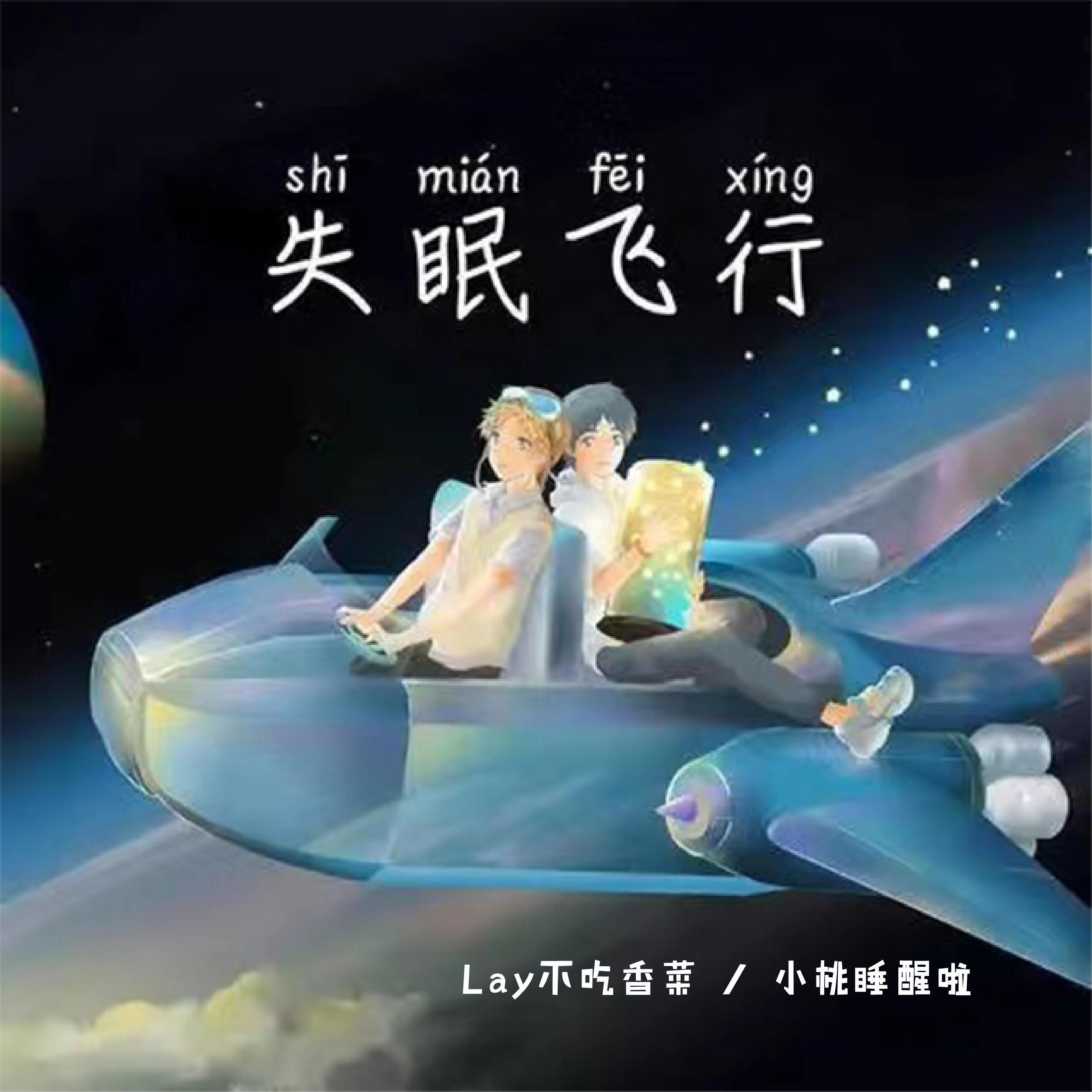 失眠飞行