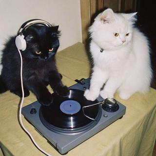 微醺慵懒R&B | 开口沦陷 暧昧升温