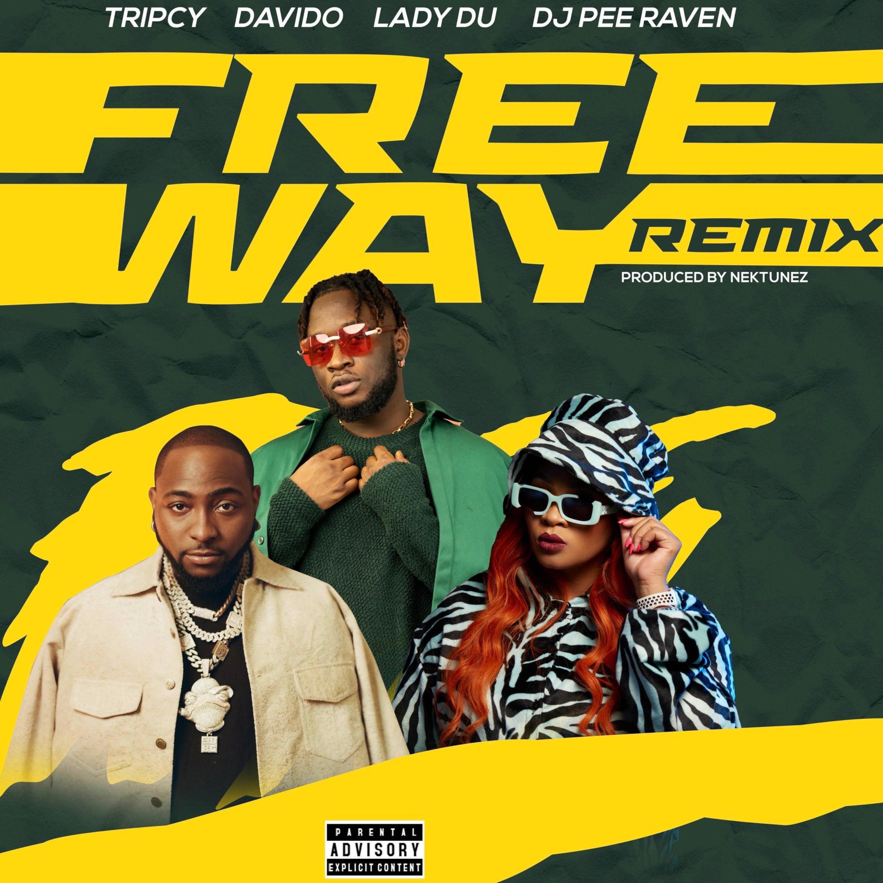 Tripcy - Freeway (feat. Dj Pee Raven) (Remix)