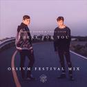 There for You (OSSIVM Festival Mix)专辑