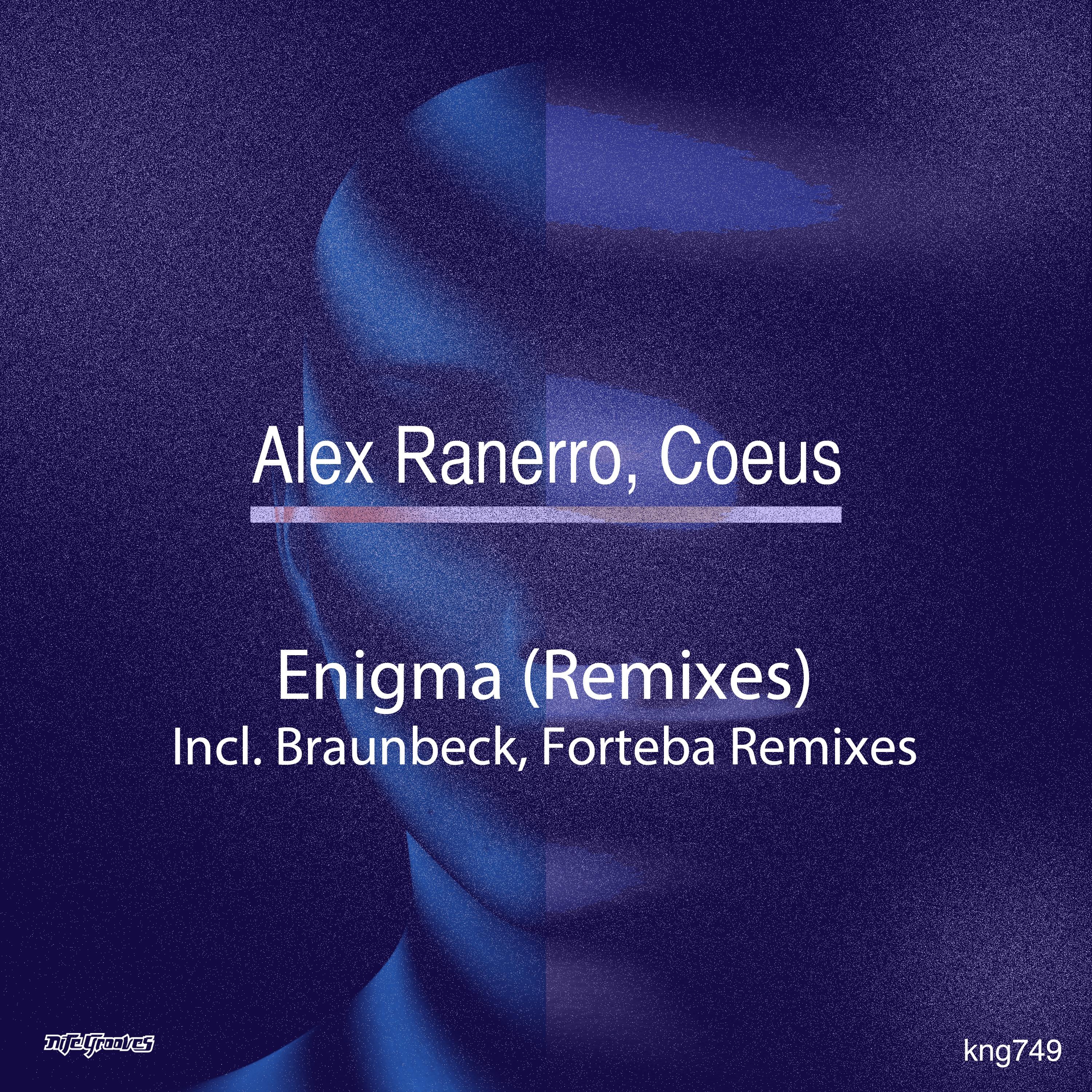 Enigma (Remixes)