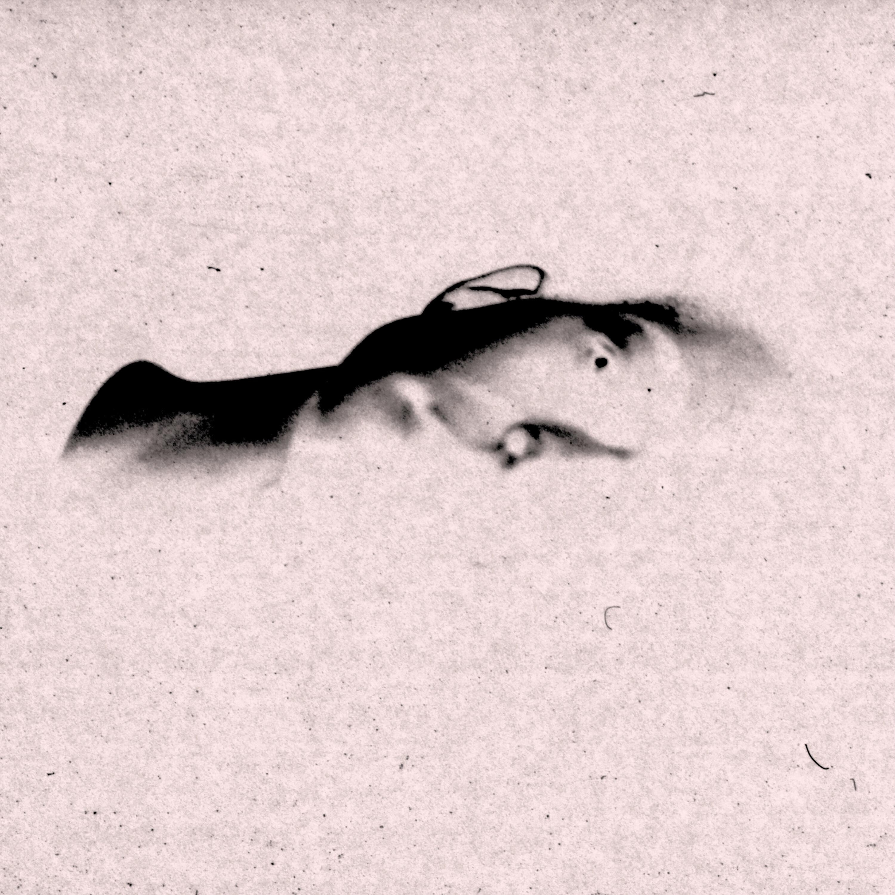 Never (Reworked)