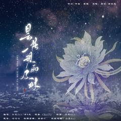 昙花一现雨及时【翻自 周深＆郑云龙】（翻自 原唱）