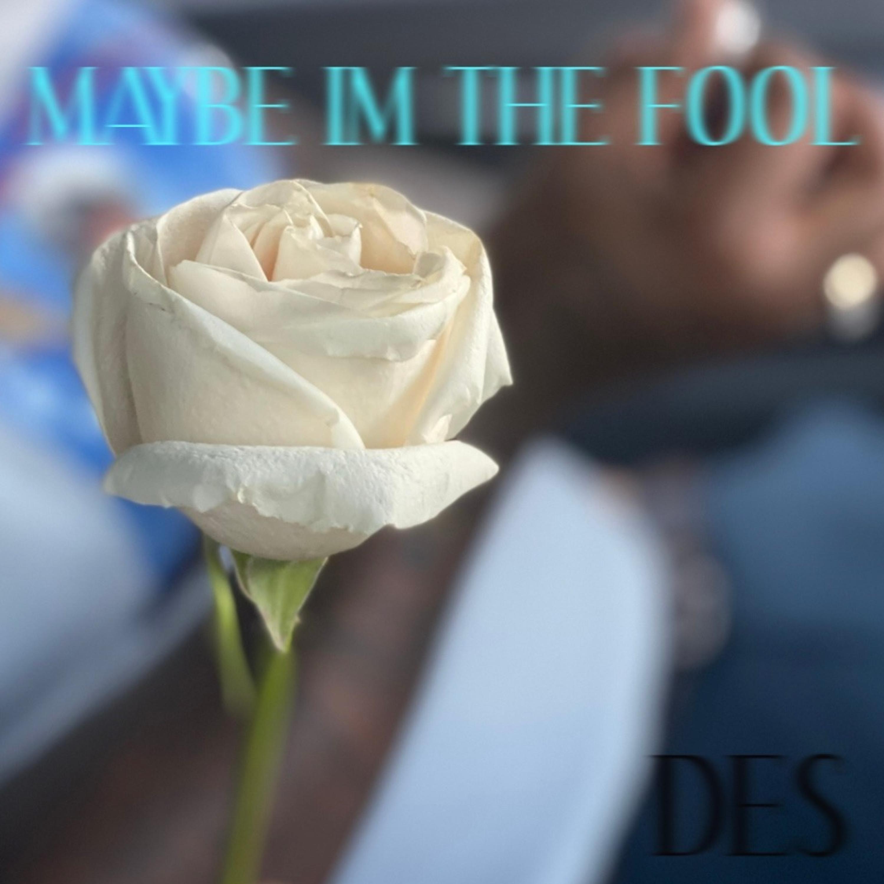 Des - Maybe Im The Fool