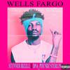 Stunner Bizzle - Wells Fargo