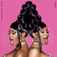 Cardi B Ft Megan Thee Stallion - Wap (David Guetta Bootleg Clean) 133