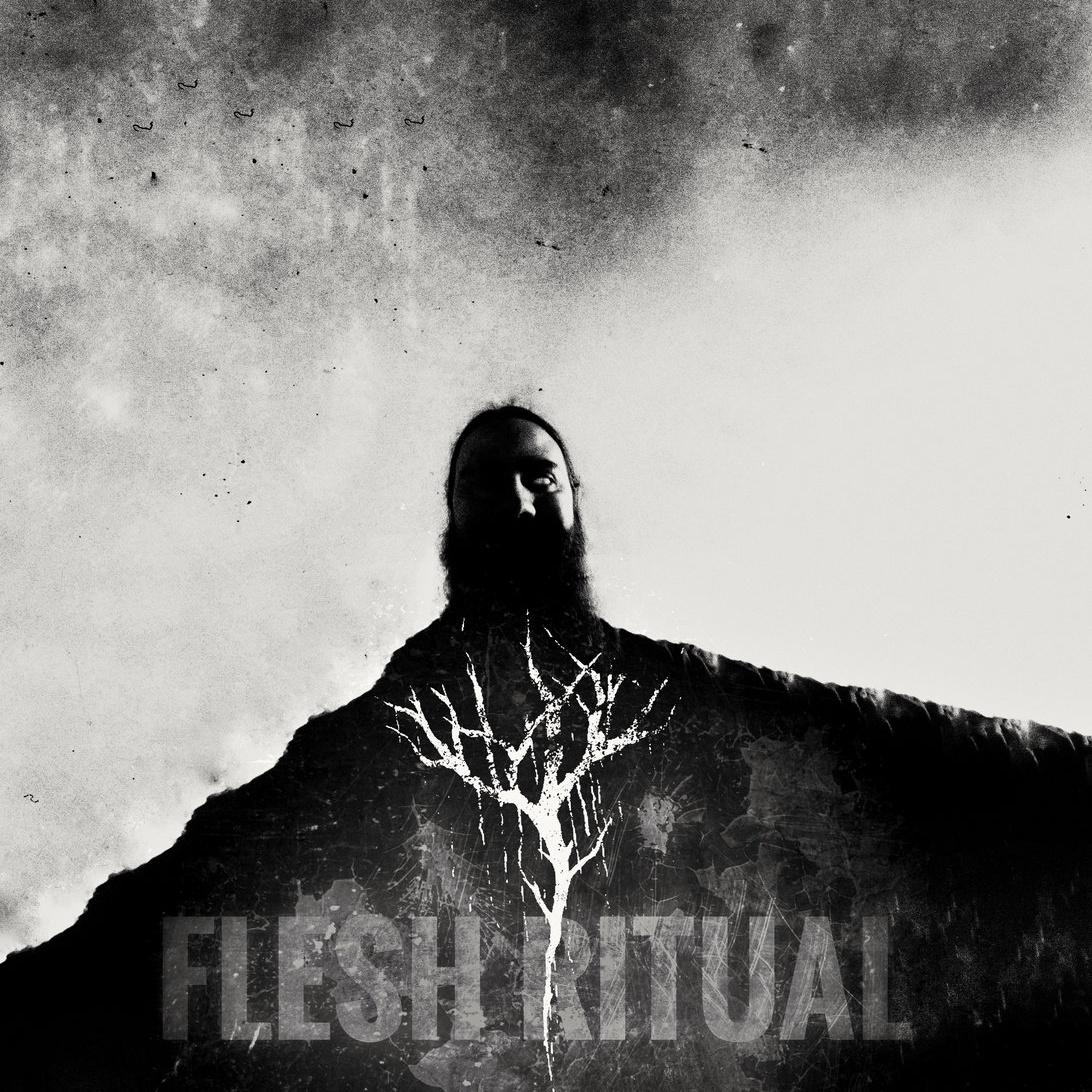 Demo Session IX - Flesh Ritual专辑