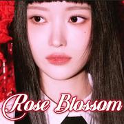 Rose Blossom