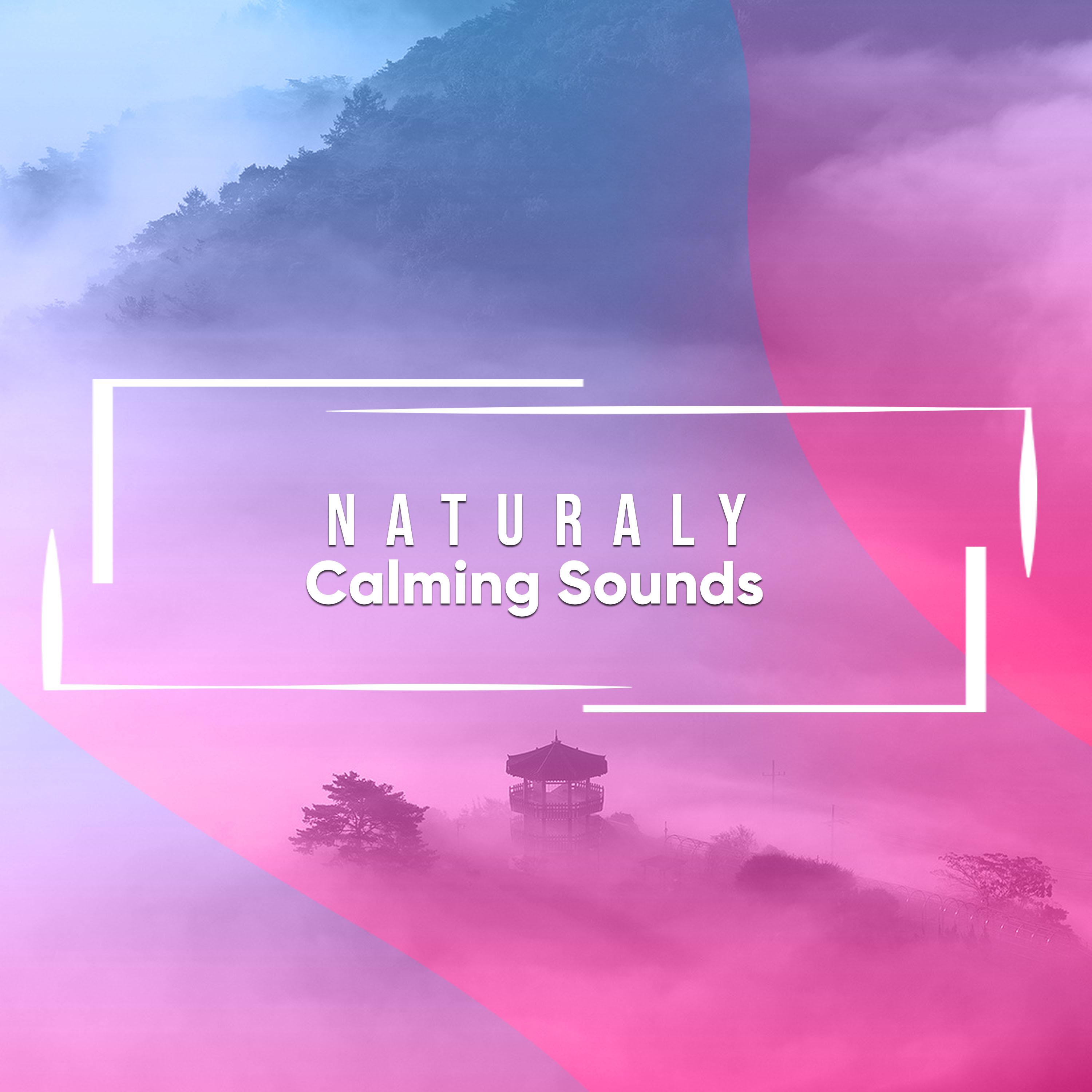 #16 Naturally Calming Sounds to Free the Soul专辑