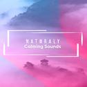 #16 Naturally Calming Sounds to Free the Soul专辑