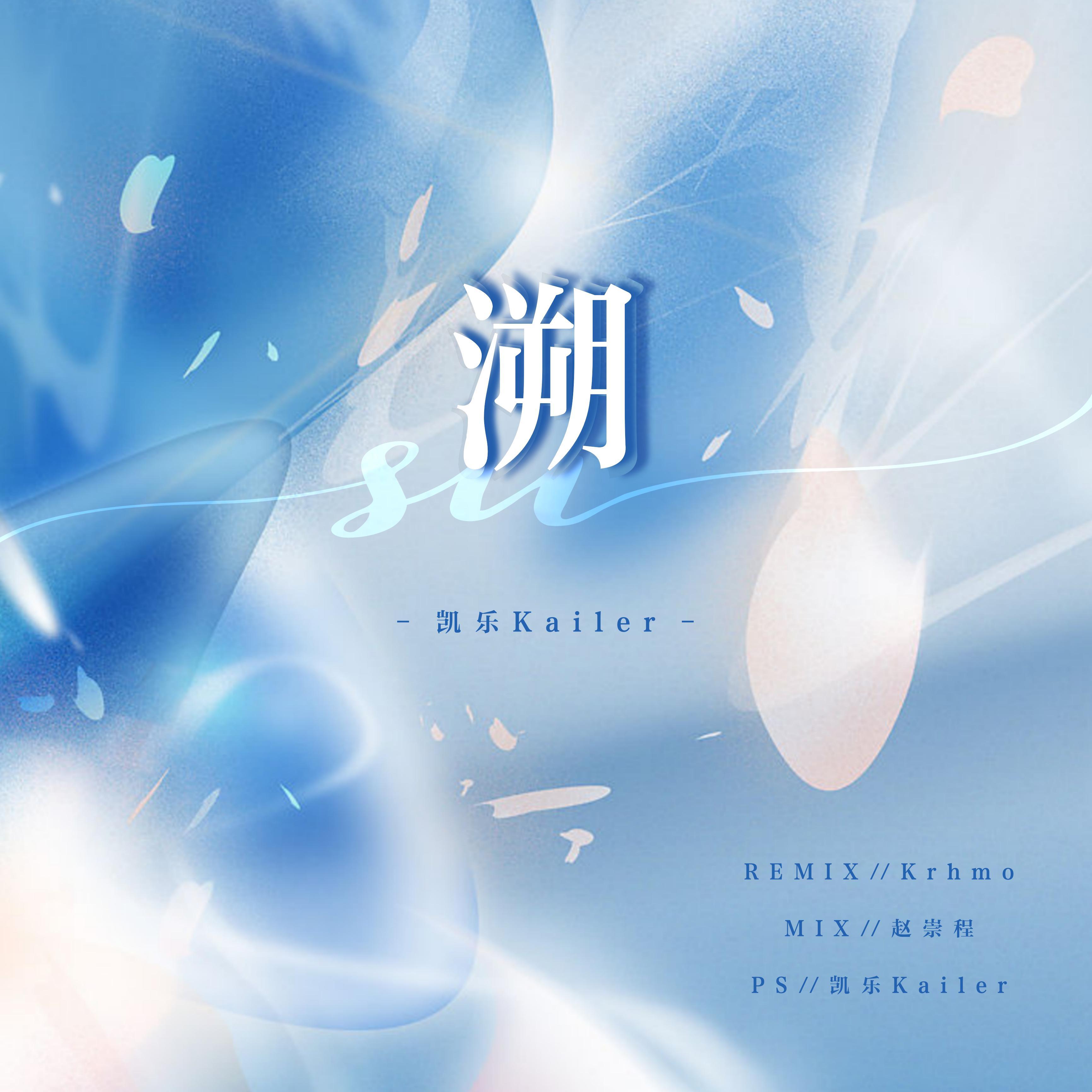 溯（Remix）