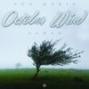 PUD MUSIC - October wind