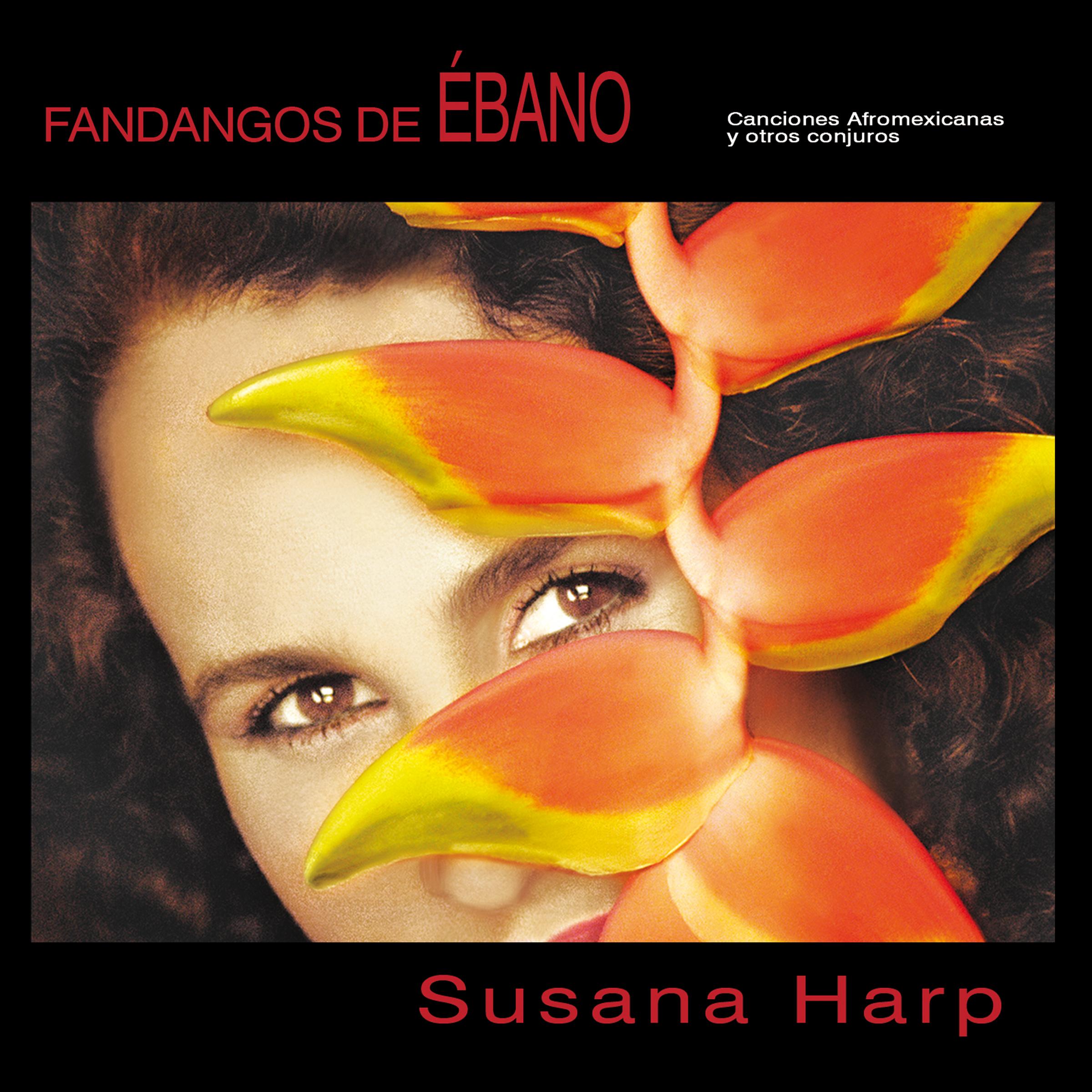Fandangos de Ébano