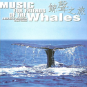 国外代理馆-荷兰OREADE新世纪音乐系列-鲸声之旅专辑