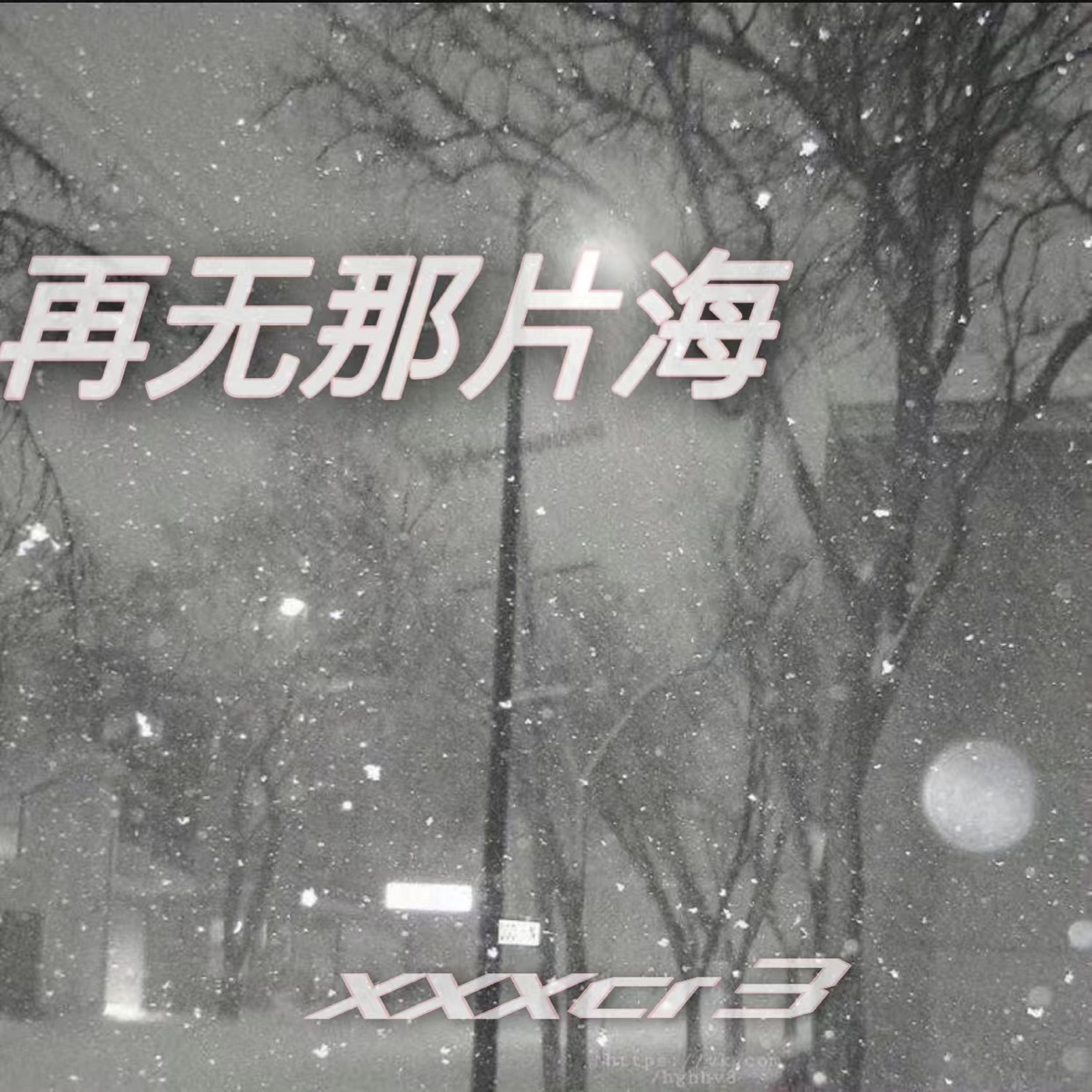 再无那片海