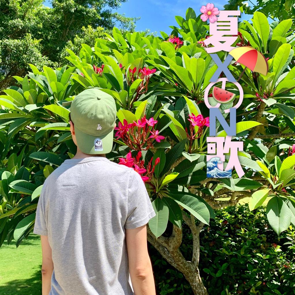 XN哥哥夏日的歌