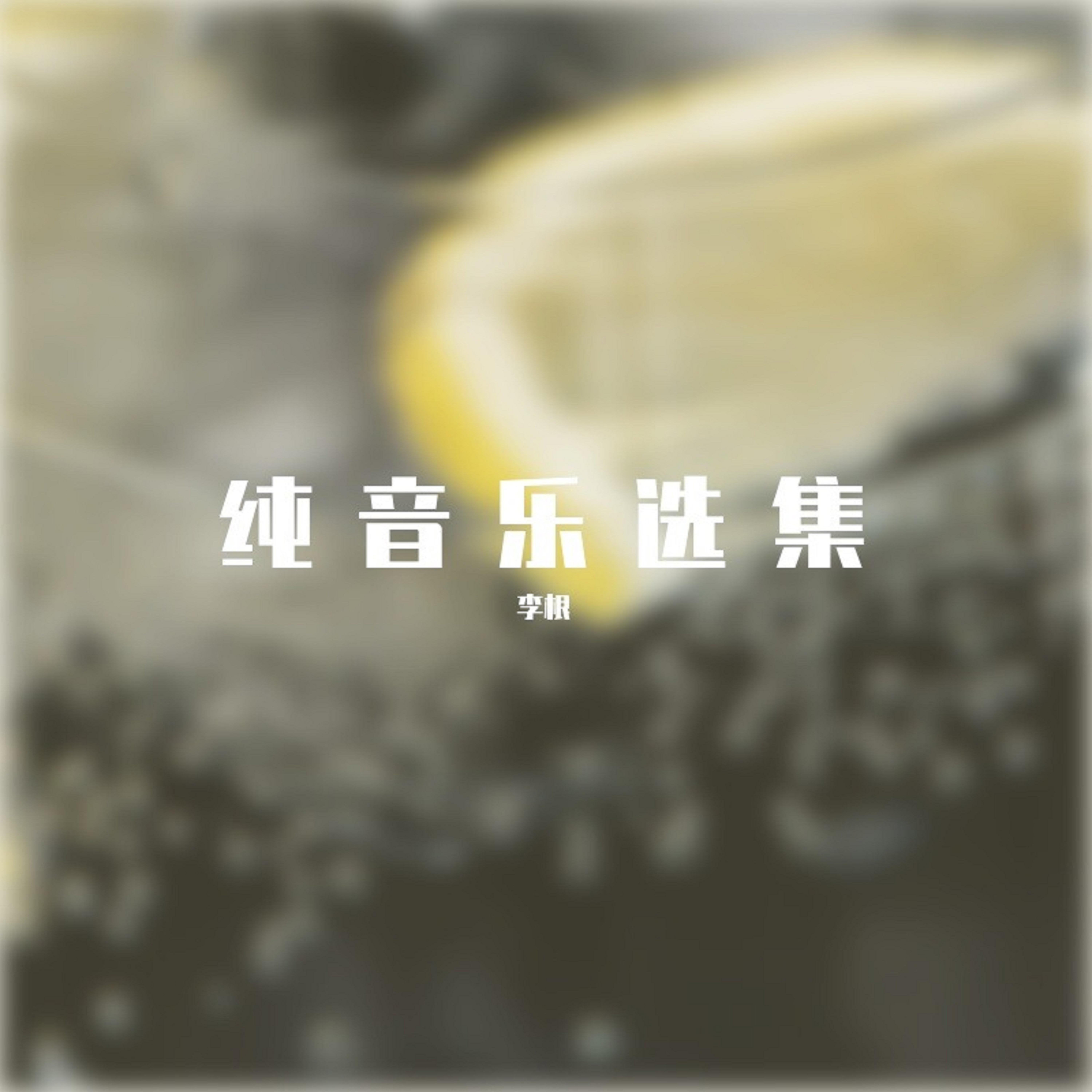 纯音乐选集