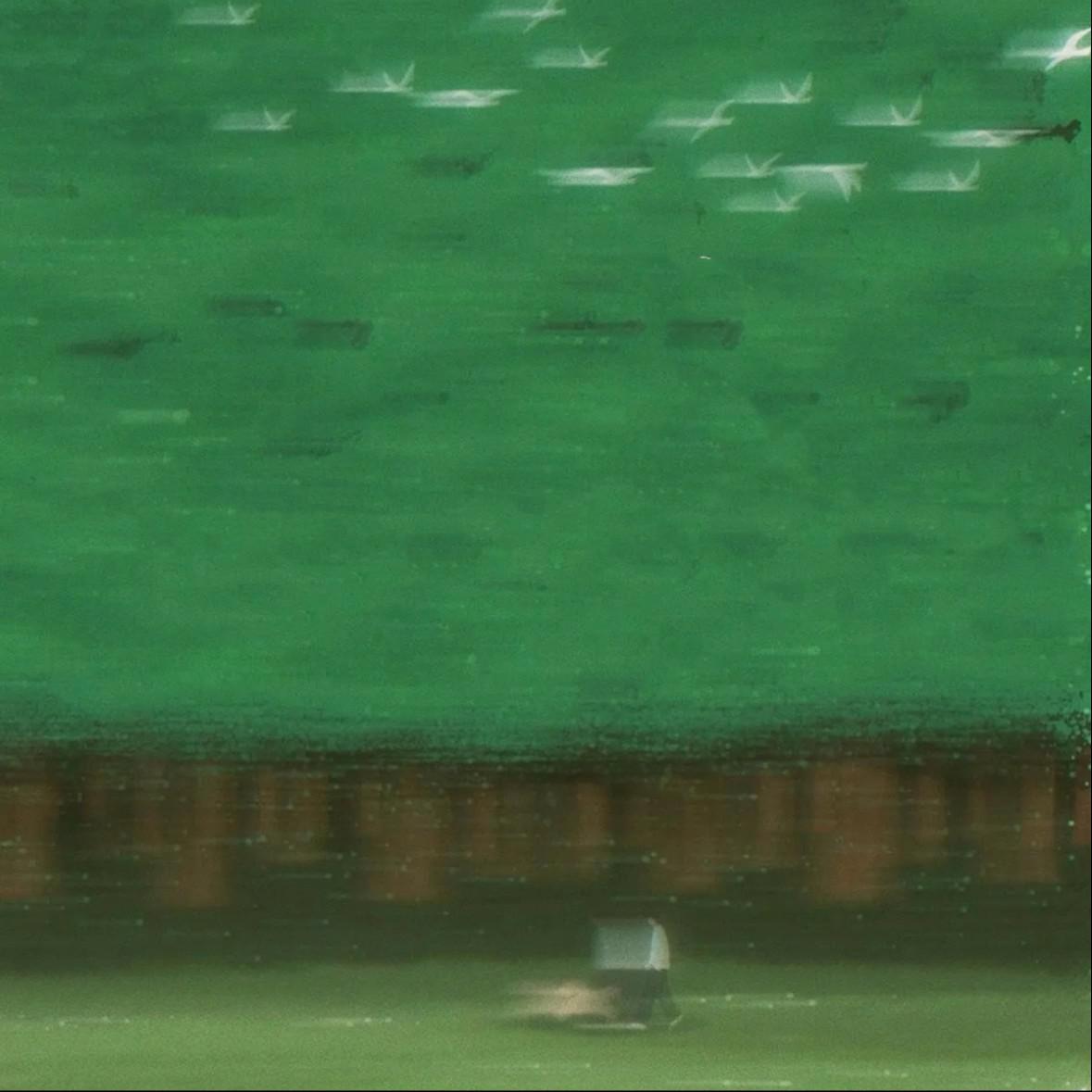 爱意藏风里
