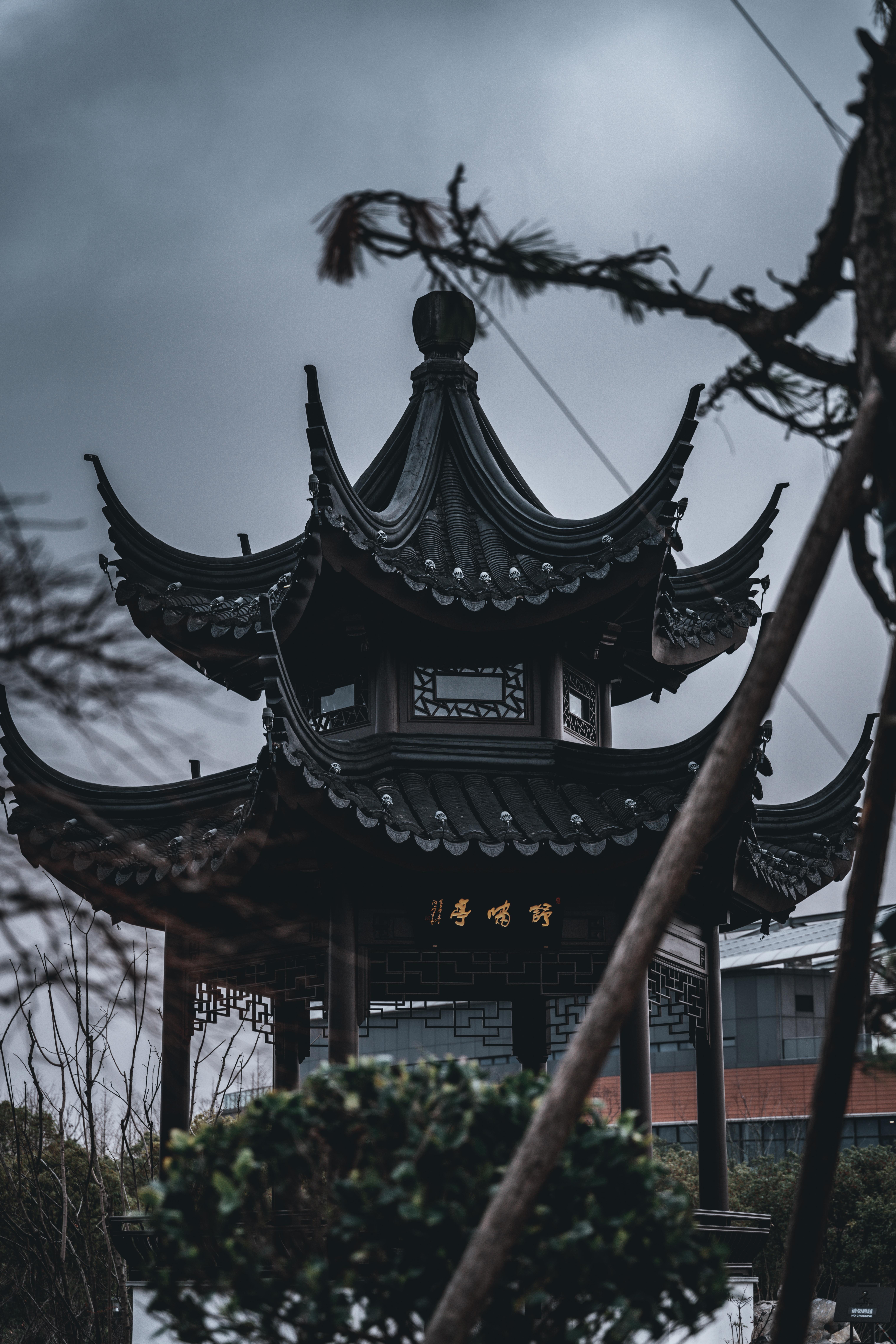 庭前桃花万千朵 却无一瓣沁我魂。 | 在线播放 | 网易云音乐