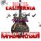 Hotel California (In the Style of the Eagles) [Karaoke Version] - Single专辑