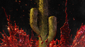 Bloody Cactus2023Cypher专辑