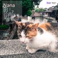 Nana的铃声 7