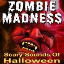 Zombie Madness (Scary Sounds of Halloween)专辑