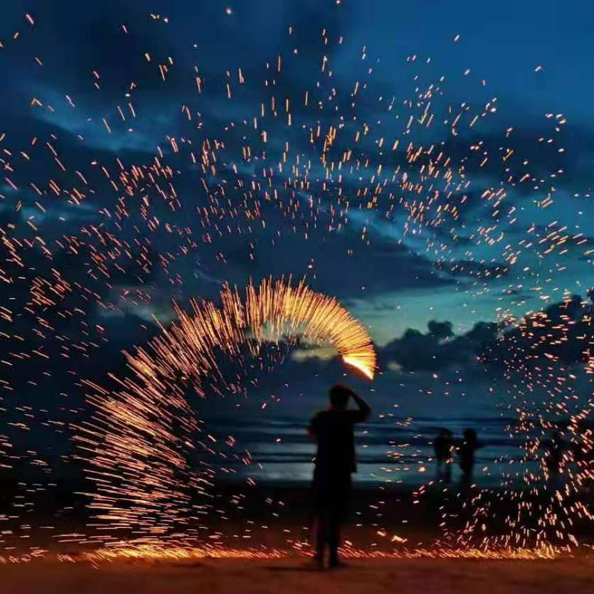 海鸥