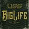 Big Life (26 Letters)专辑