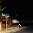 席地而坐
