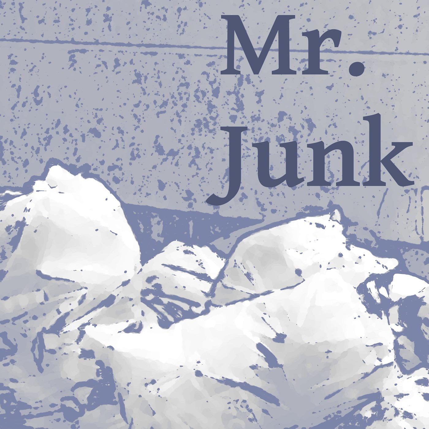 Mr.Junk 2专辑