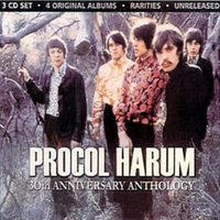 A Whiter Shade Of Pale -karaoke - Procol Harum ( 無主旋律伴奏 )