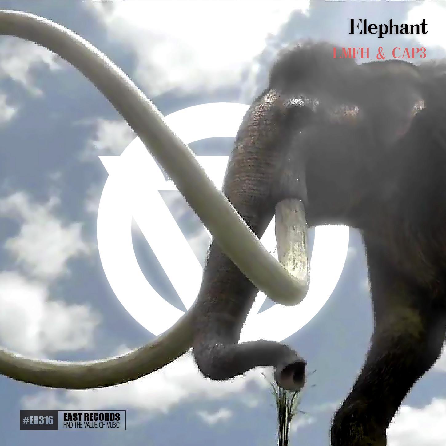 Elephant专辑