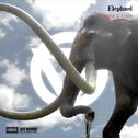 Elephant专辑