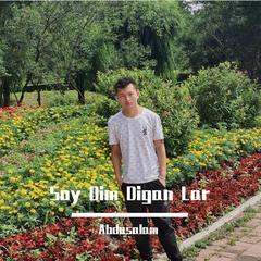 Soy Dim Digan lar