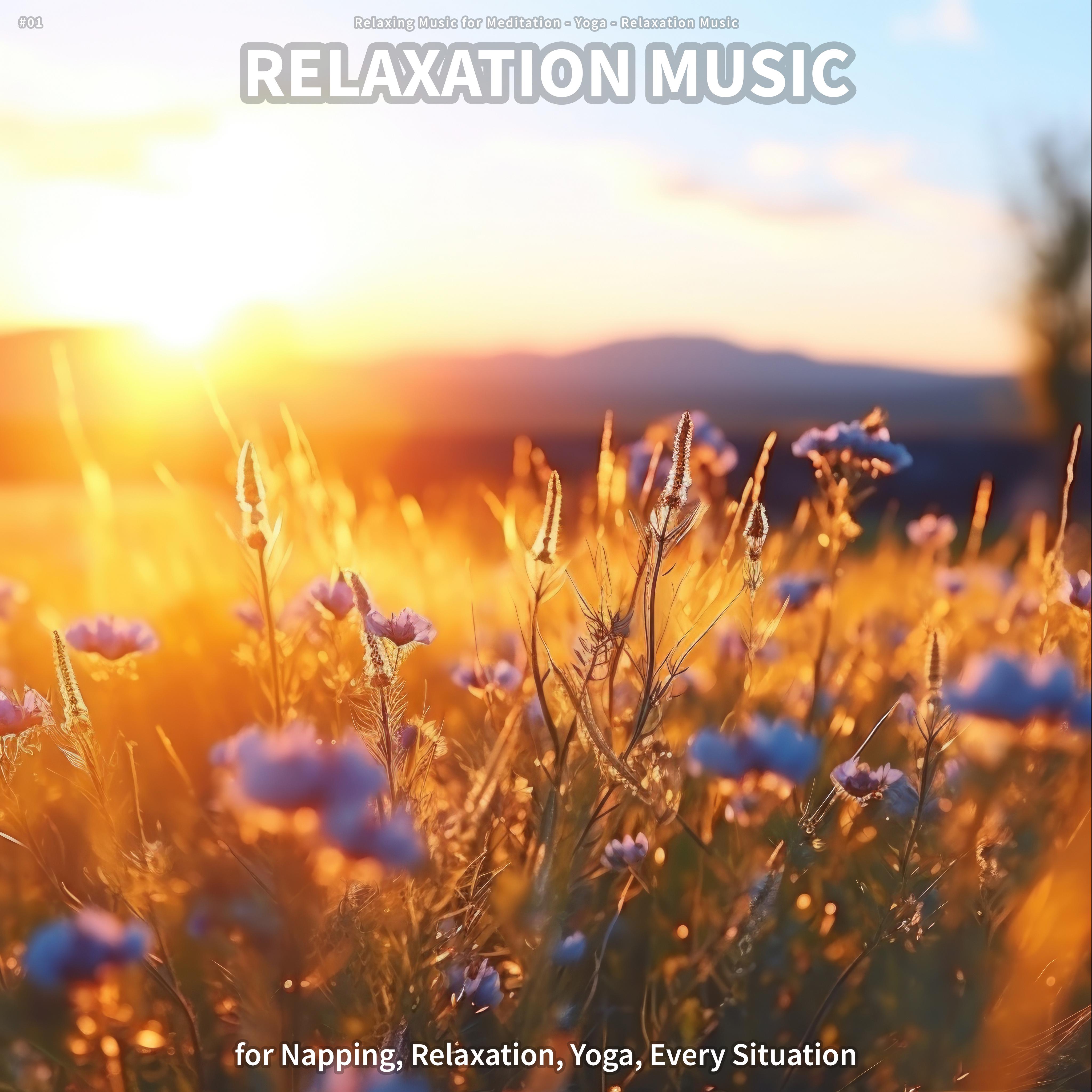 Relaxing Music for Meditation - Tranquilizing Ambient