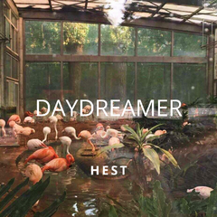 Daydreamer