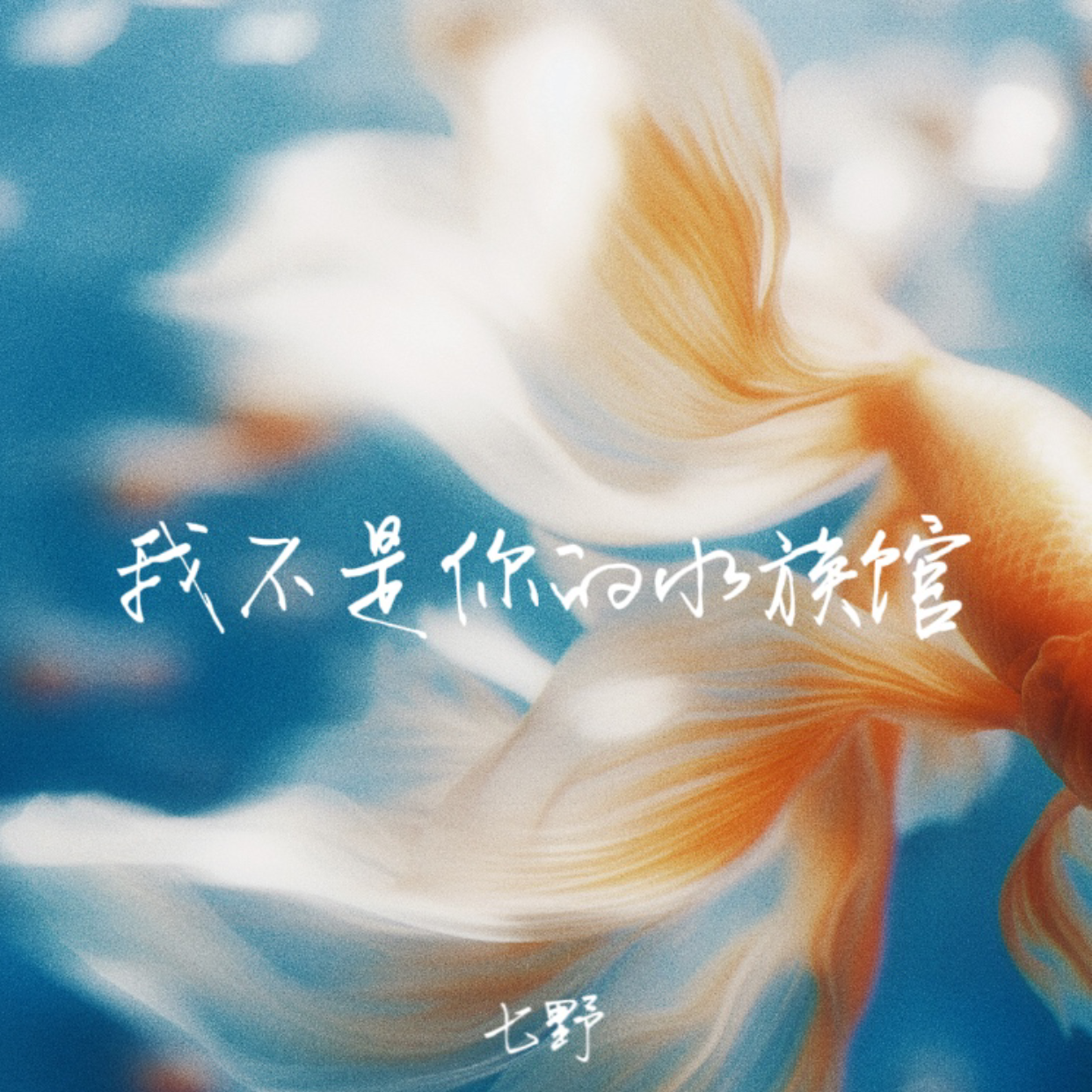 我不是你的水族馆（DJ版）