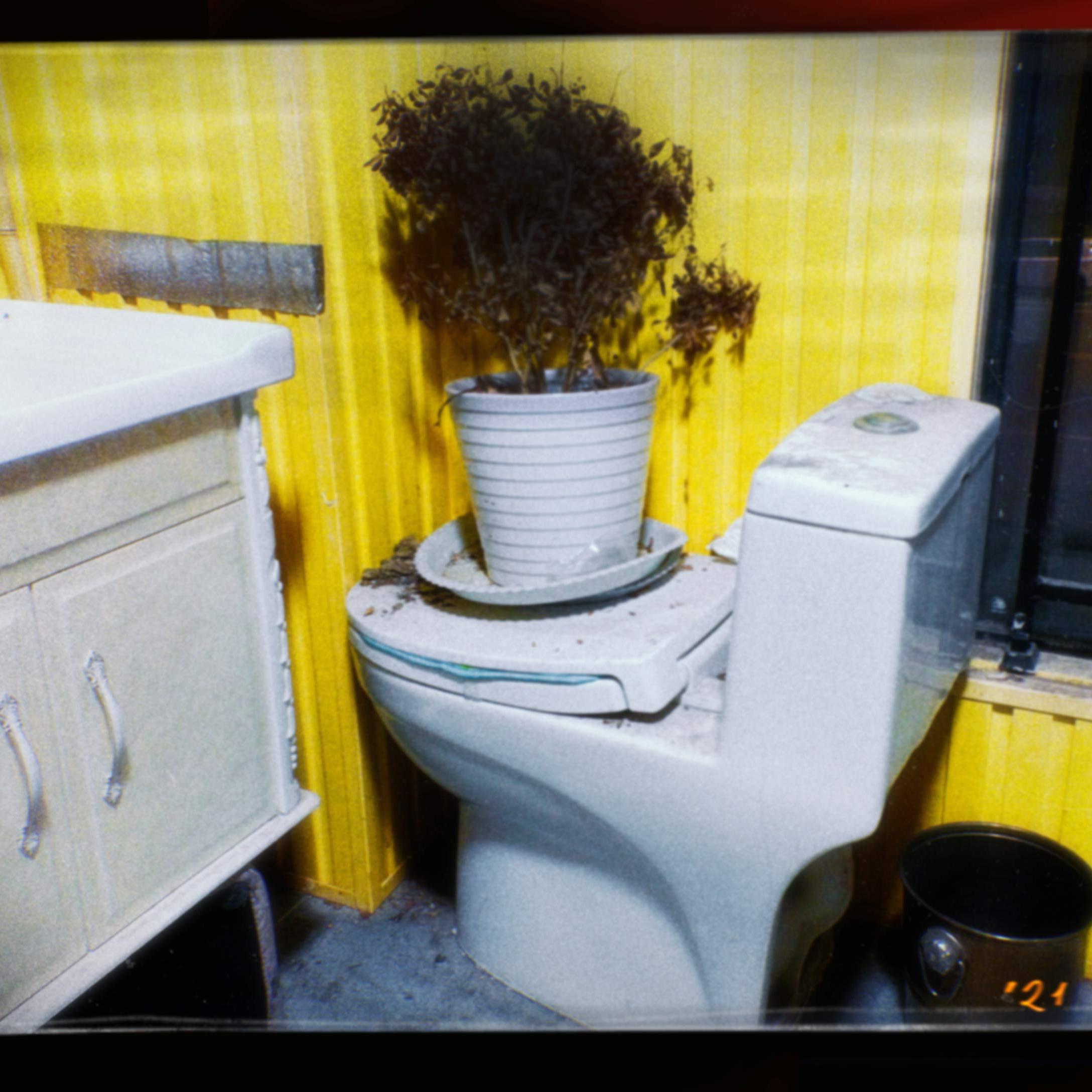 大森林与轰炸机(demo)